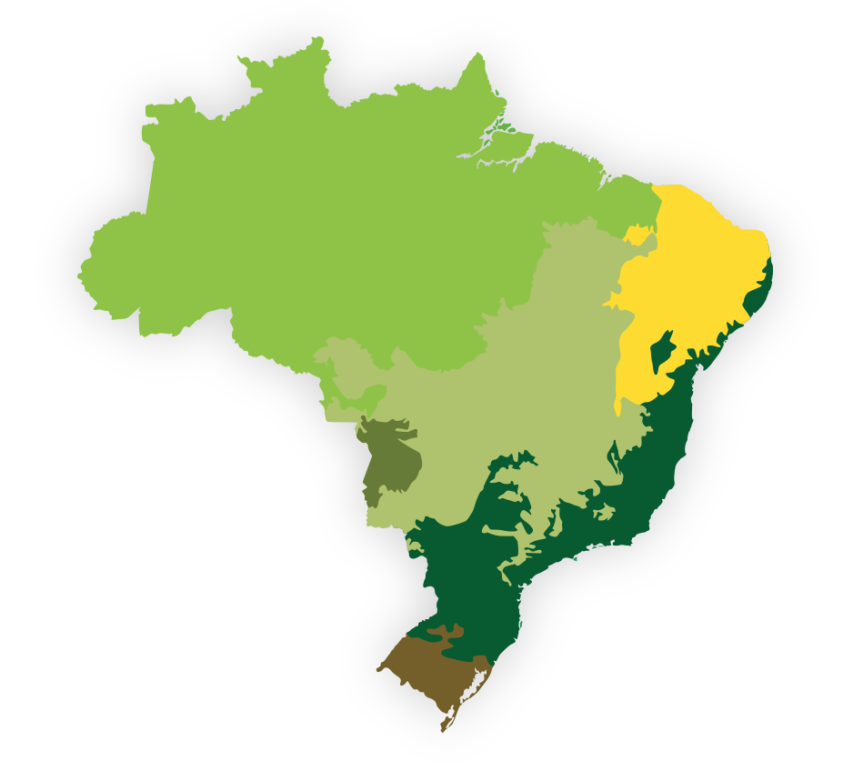Mapa do Brasil